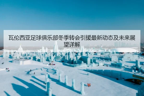 瓦伦西亚足球俱乐部冬季转会引援最新动态及未来展望详解